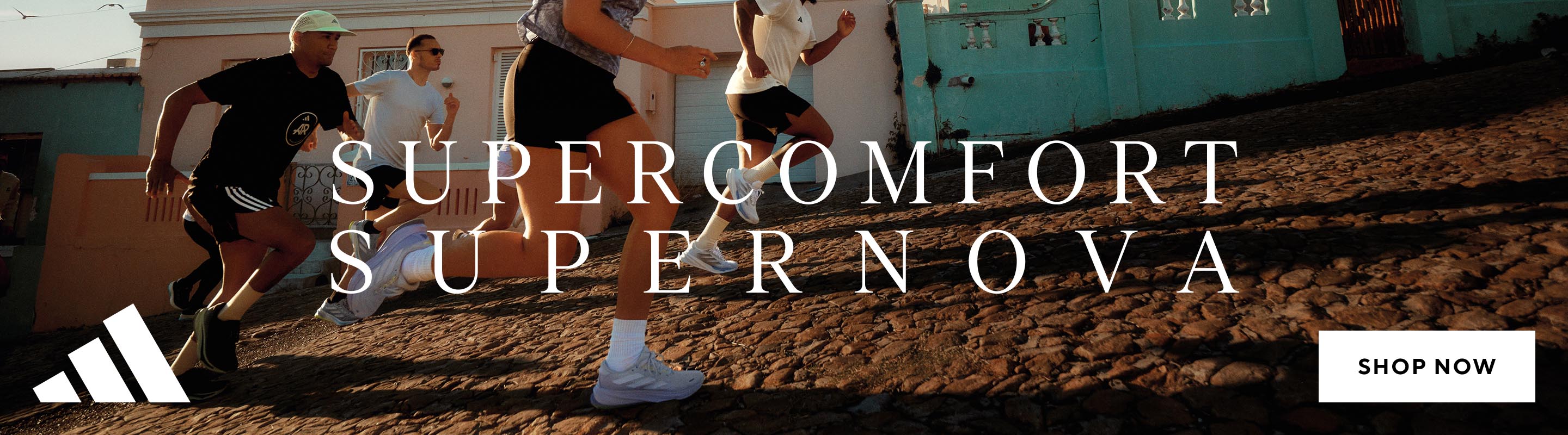 promoHeroCarousel image