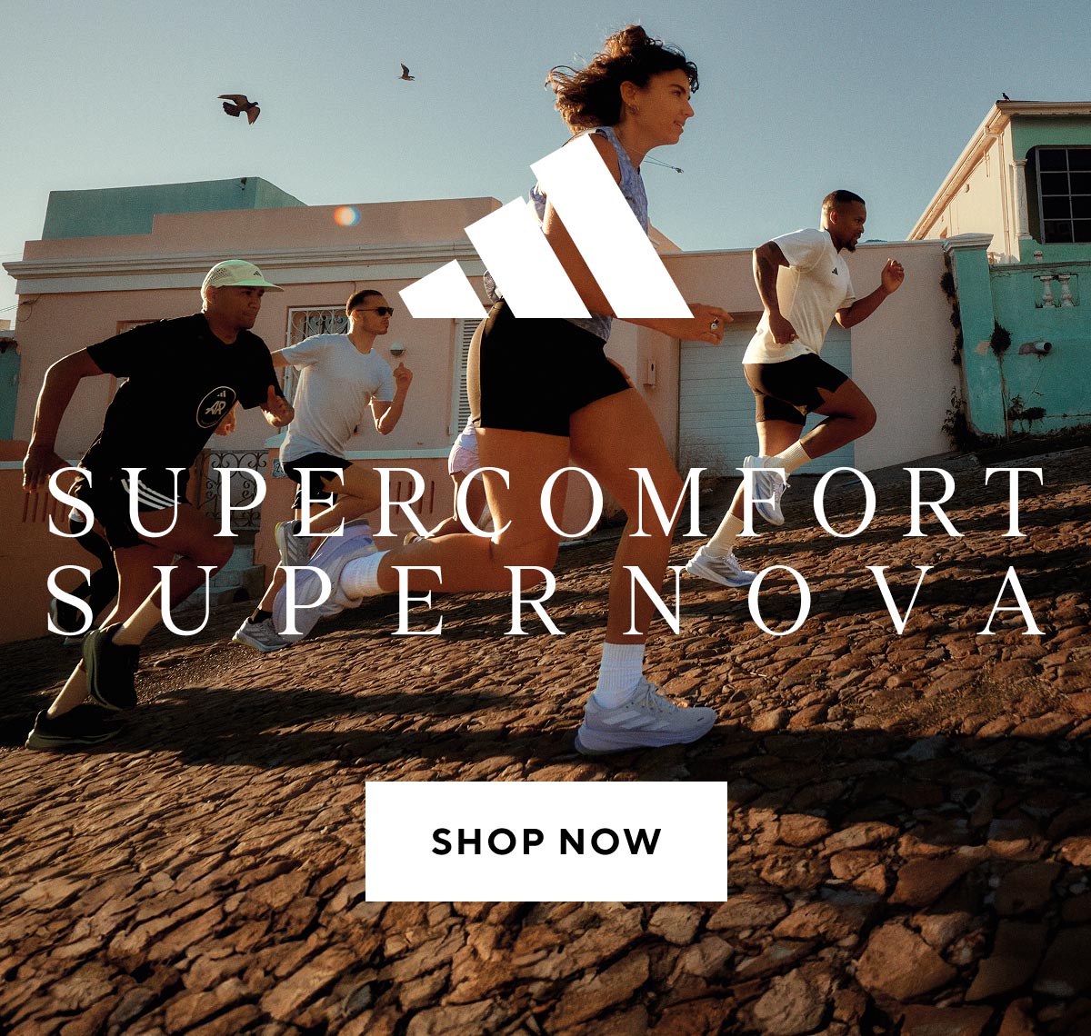 promoHeroCarousel image
