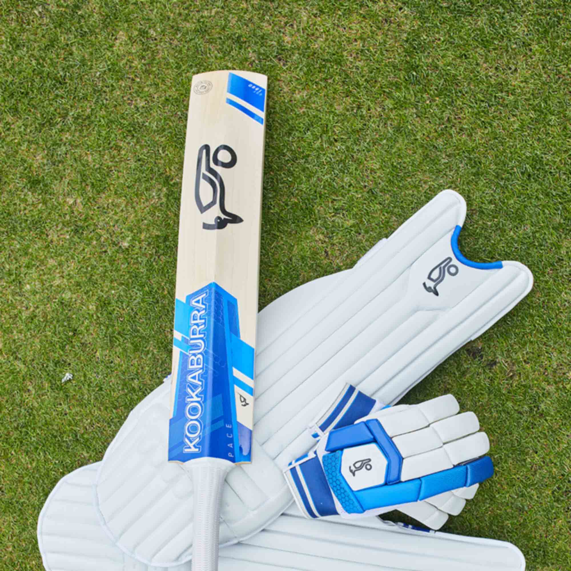 Rebel sport cricket pads deals
