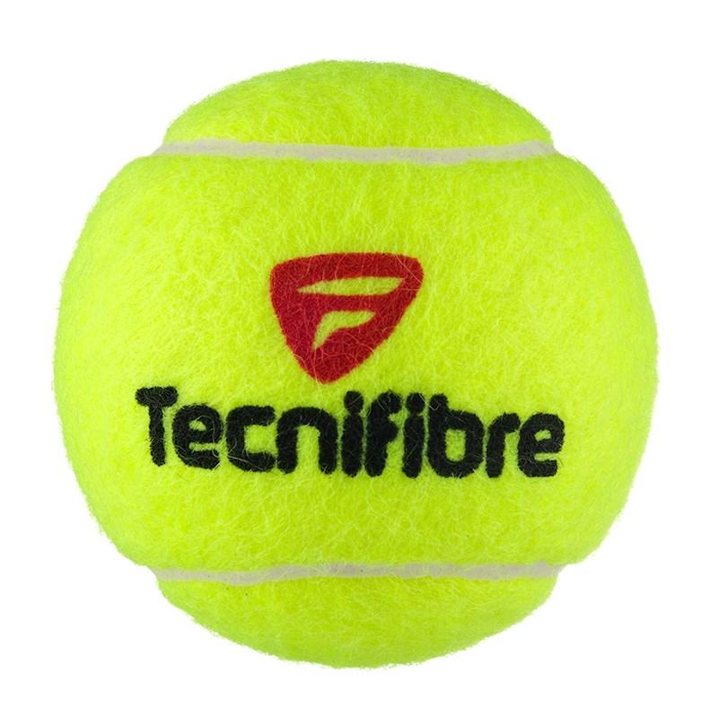 Bridgestone Tecnifibre X ONE Tennis Balls 4Ball Can