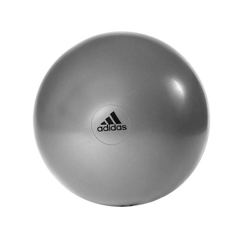 Swiss ball 2025 rebel