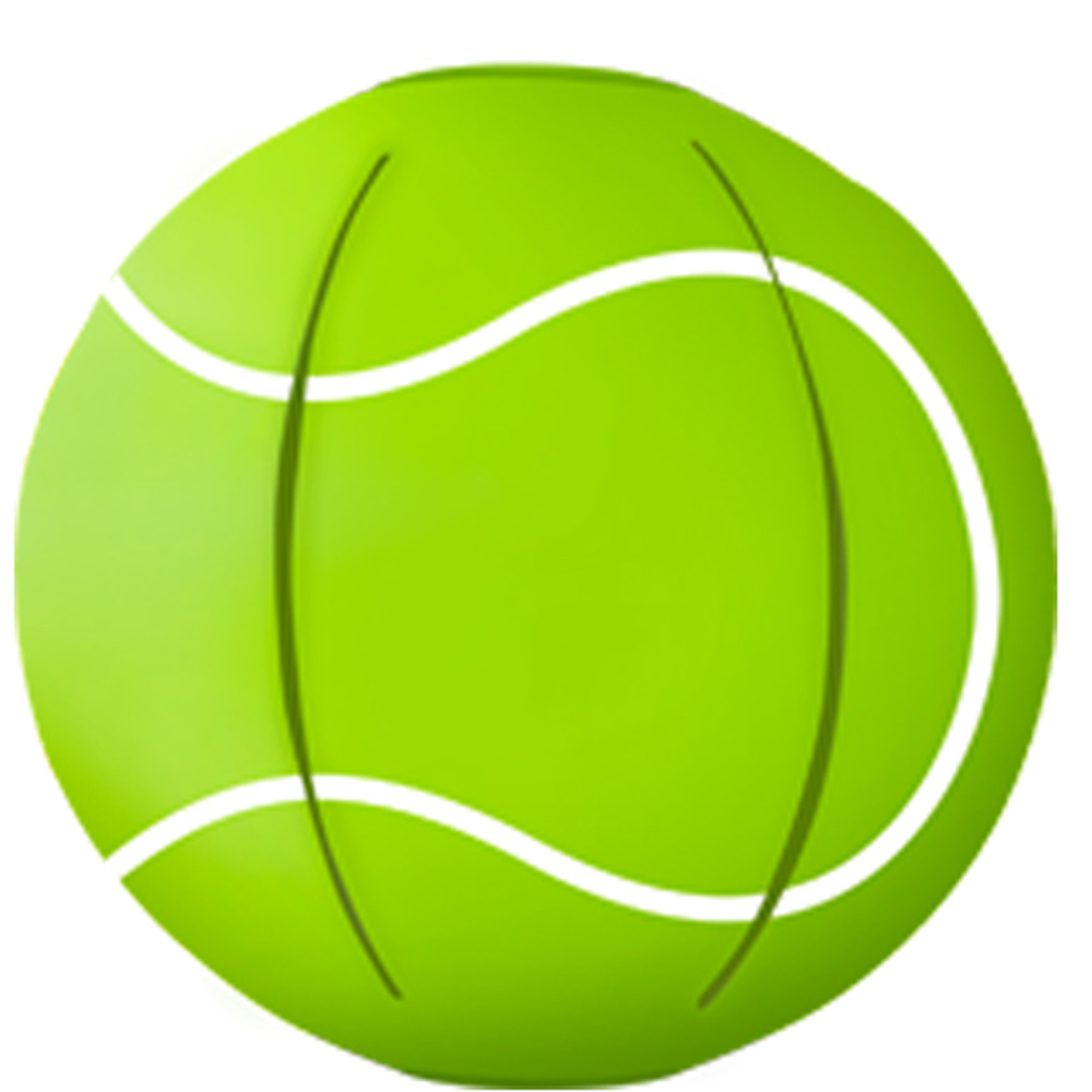 phlat ball mini