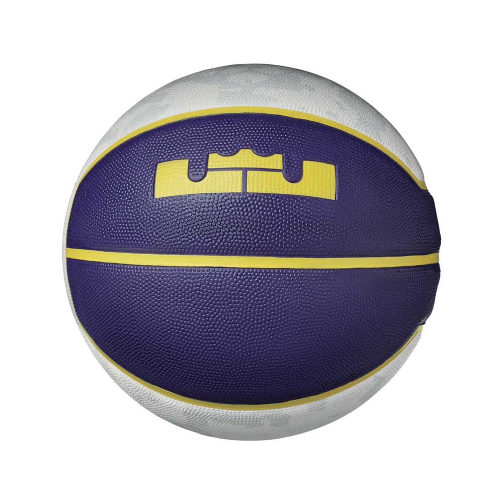 lebron basketball ball