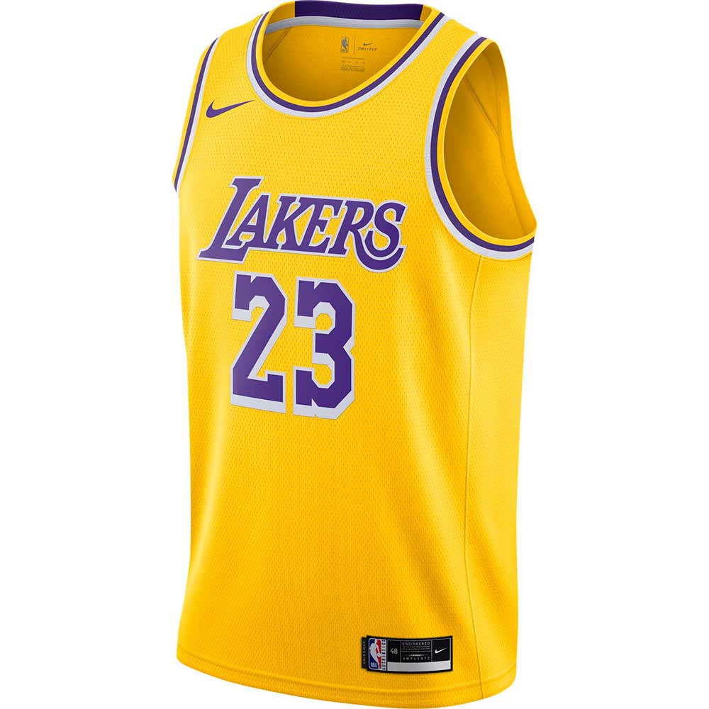 lebron james lakers kit