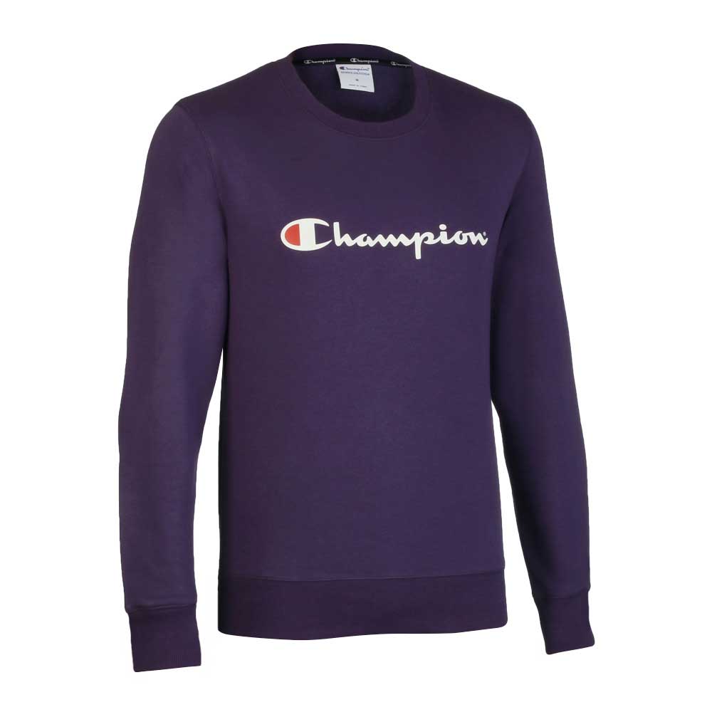 champion sweater nz 31