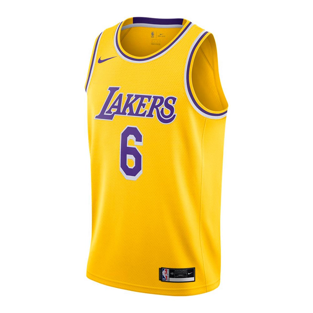 Nike NBA LA Lakers LeBron James Swingman Icon 20 Jersey