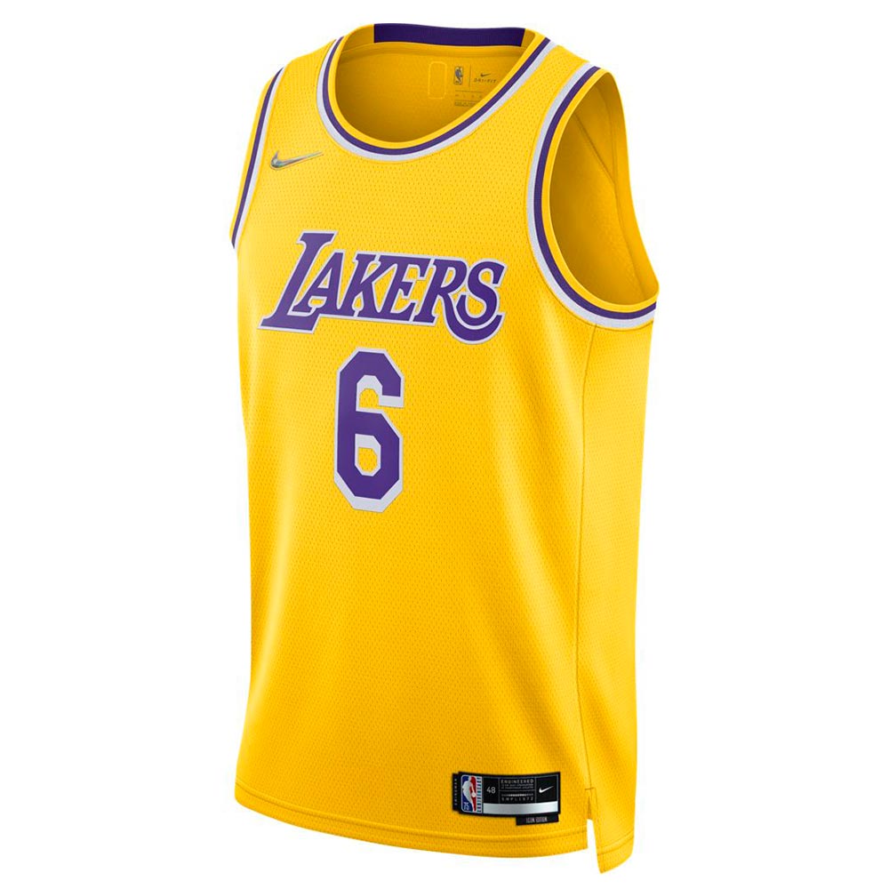Nike NBA LA Lakers LeBron James Swingman Diamond Icon Jersey