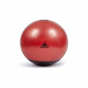 Shop Swiss Balls Online in NZ Rebel Sport Rebel Sport