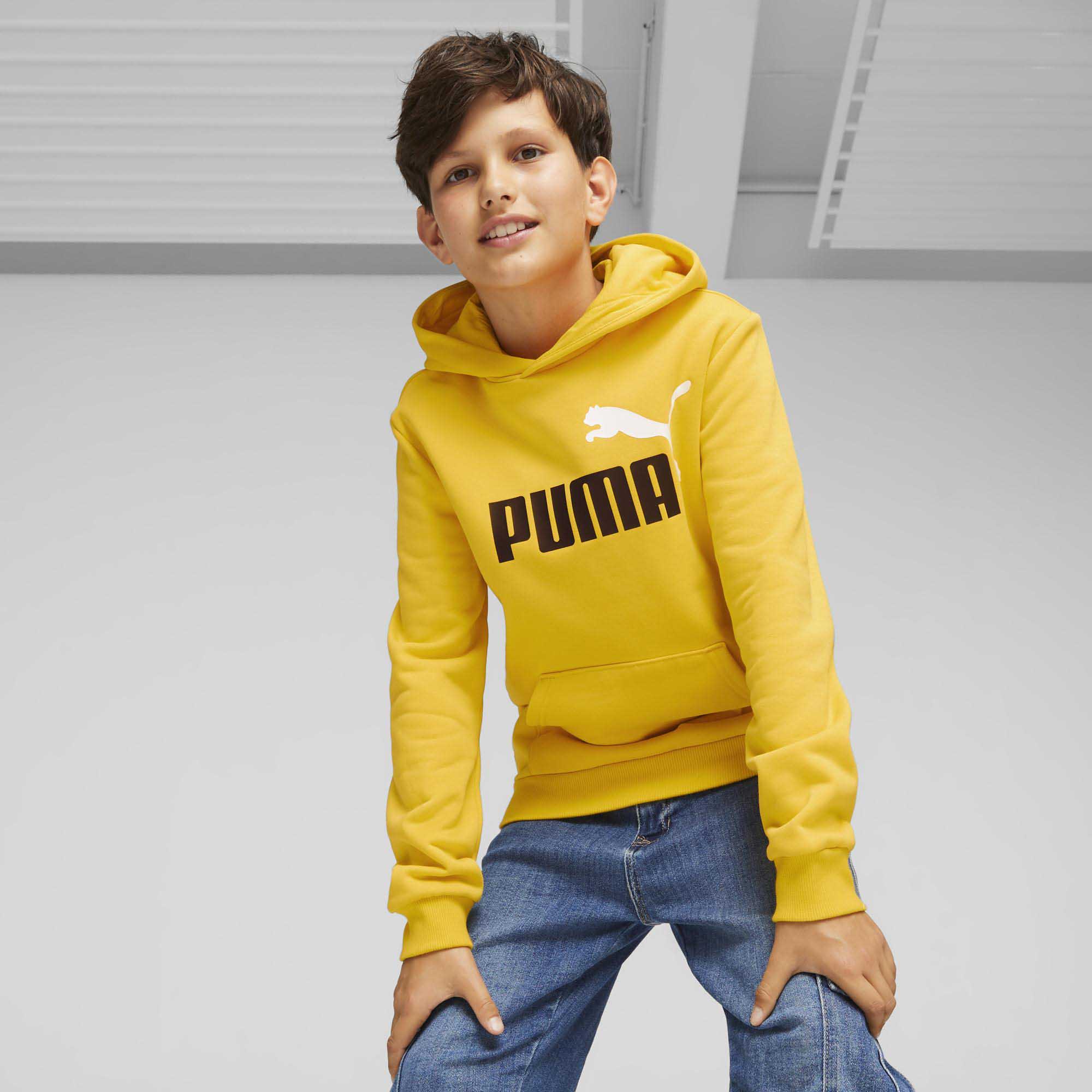 Puma Boys Essential+ 2 Colour Big Logo Fleece Hoody