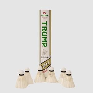 Shuttlecock online purchase 2025