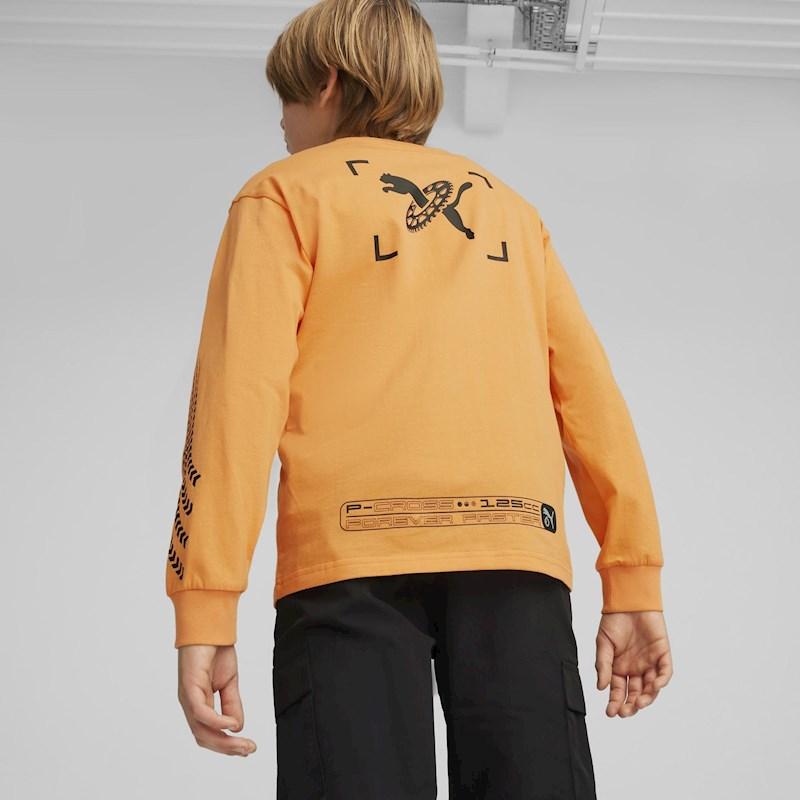Image of product 8203137