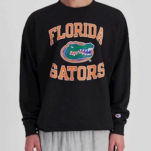 Champion college sweatshirts nz sales