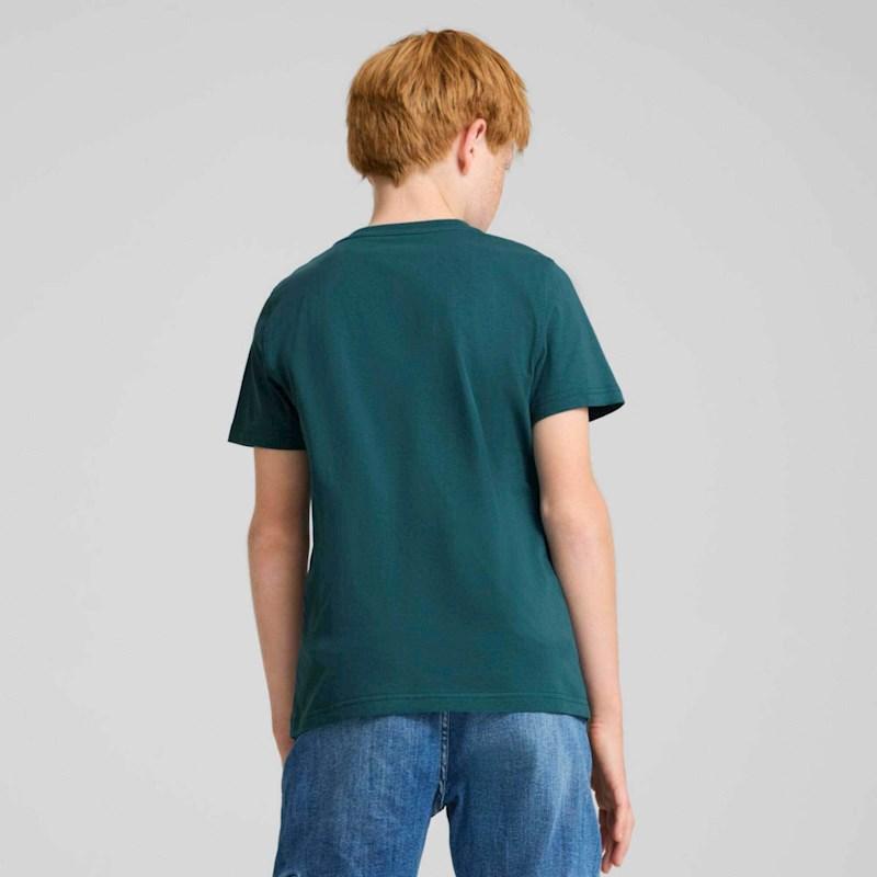 Image of product 8211001