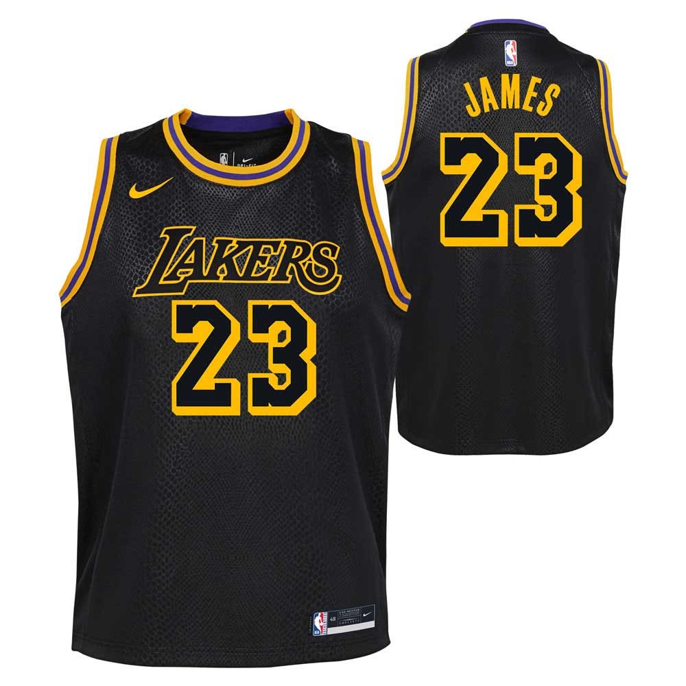 Nike Youth NBA Mamba City Edition Swingman Jersey LA Lakers LeBron ...