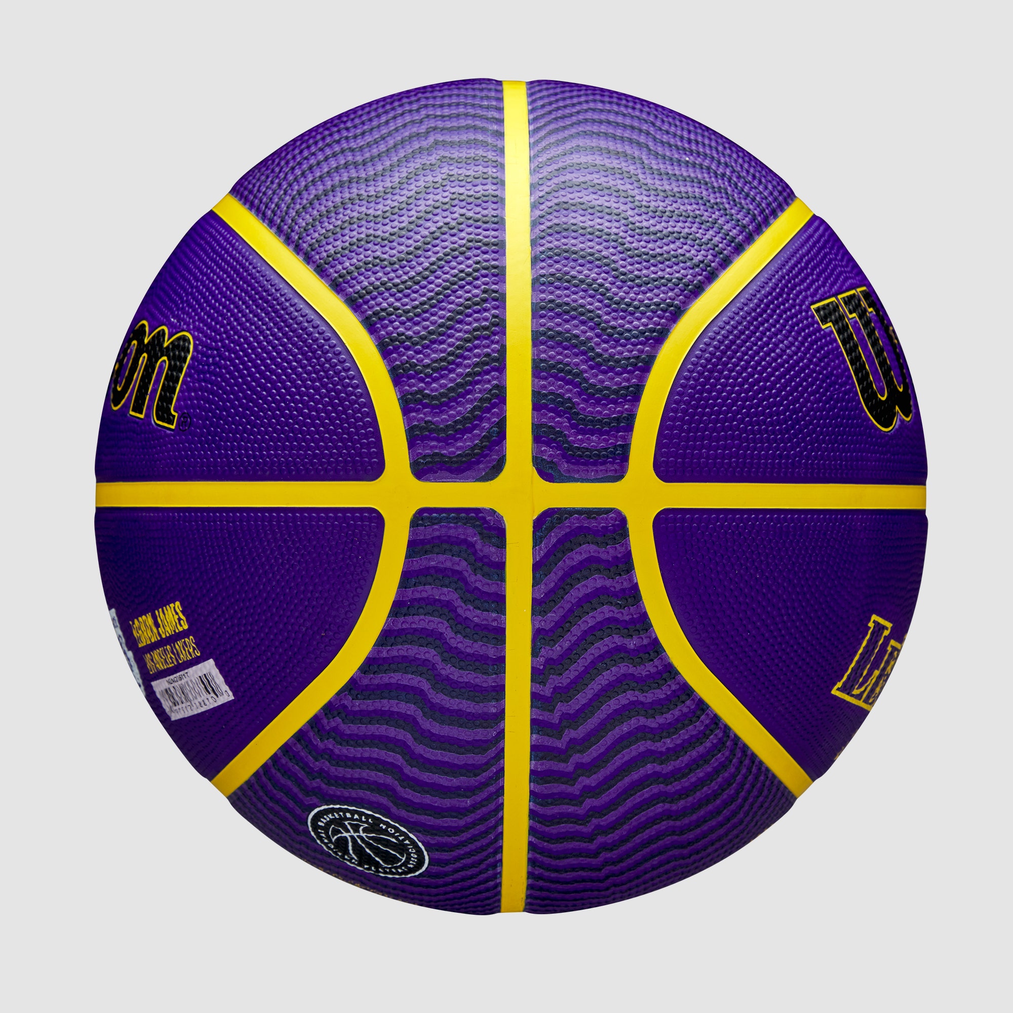 Wilson NBA Player Icon Lebron Basketball Size 7 | Rebel Sport